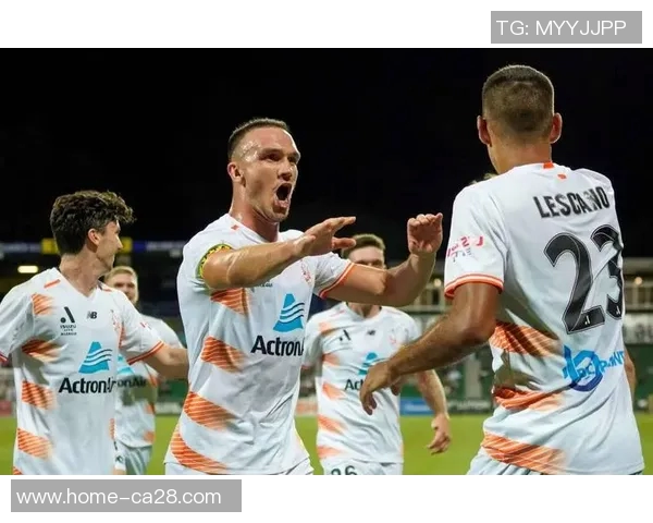 悉尼足球队与狮吼队的精彩对决分析与赛前预测